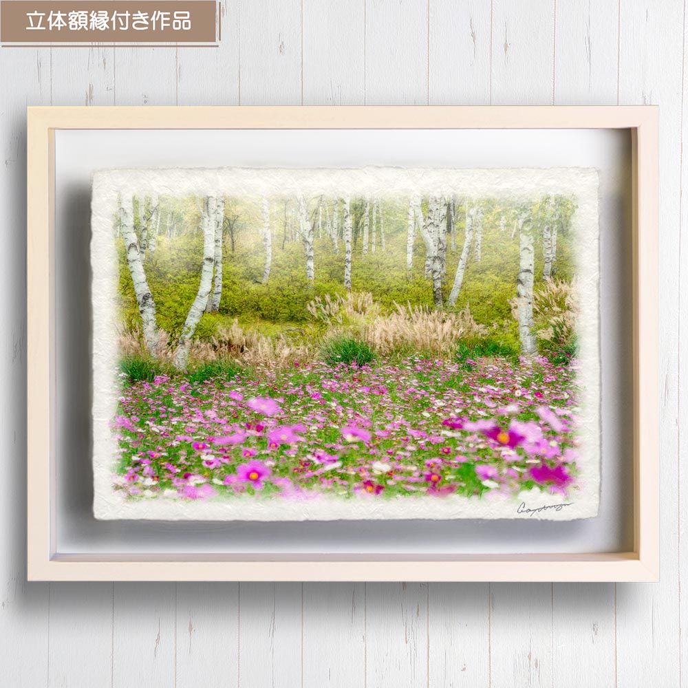 和紙の絵写真 「霧の白樺林とコスモス畑」 絵画 インテリア アート パネル おしゃれ 風景画 風水 絵 玄関 ジャパンディ 壁 掛け ポスター 和風 和 モダン 秋 ピンク 木 森 花の絵