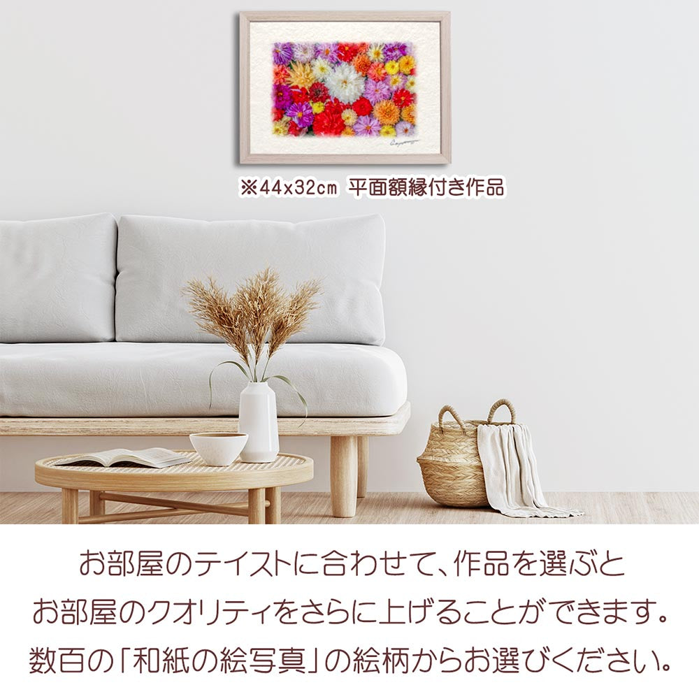 和紙の絵写真 「一面のダリアの花(白大)」 絵画 インテリア アート パネル おしゃれ 風景画 風水 絵 玄関 ジャパンディ 壁 掛け ポスター 和風 和 モダン 秋 花の絵