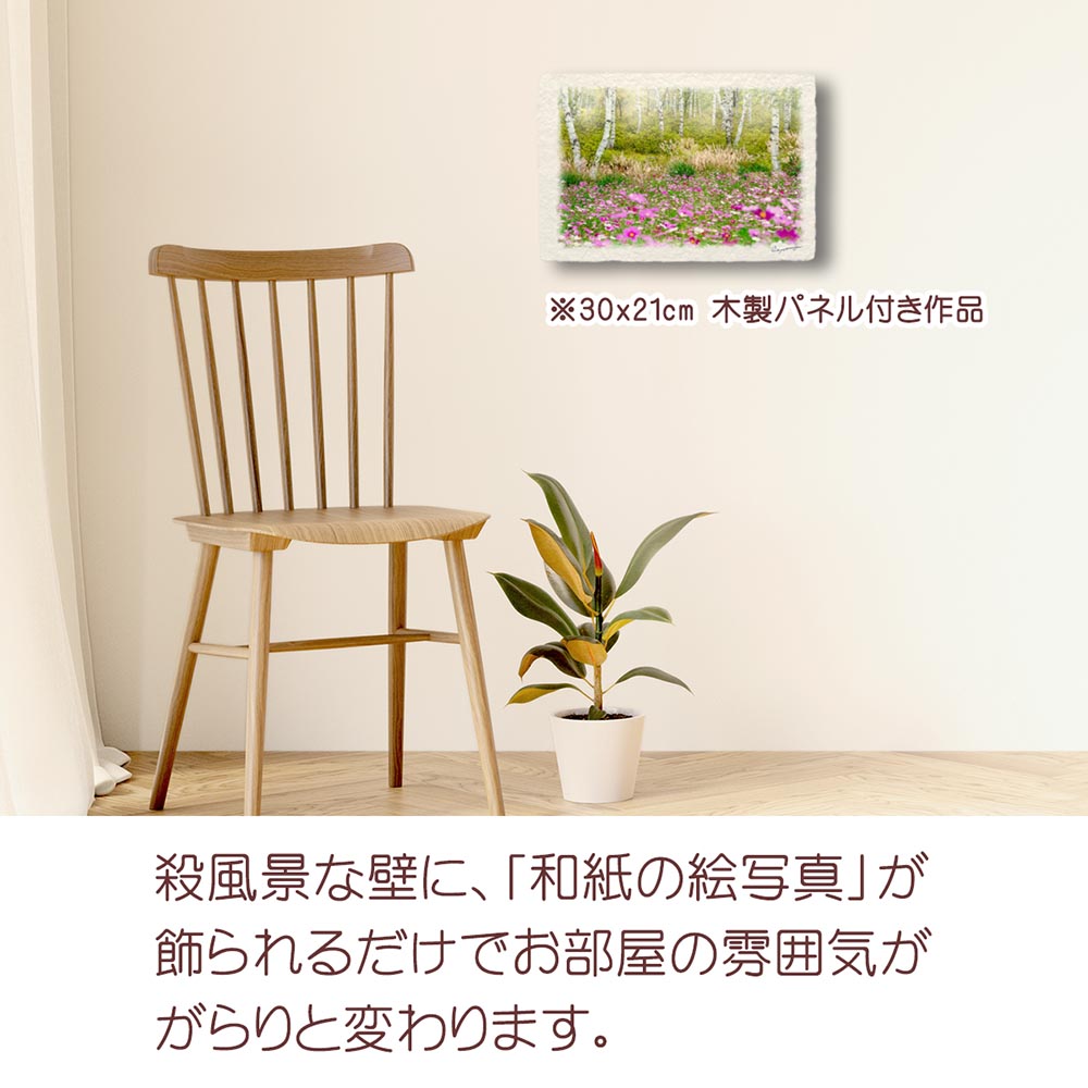 和紙の絵写真 「霧の白樺林とコスモス畑」 絵画 インテリア アート パネル おしゃれ 風景画 風水 絵 玄関 ジャパンディ 壁 掛け ポスター 和風 和 モダン 秋 ピンク 木 森 花の絵