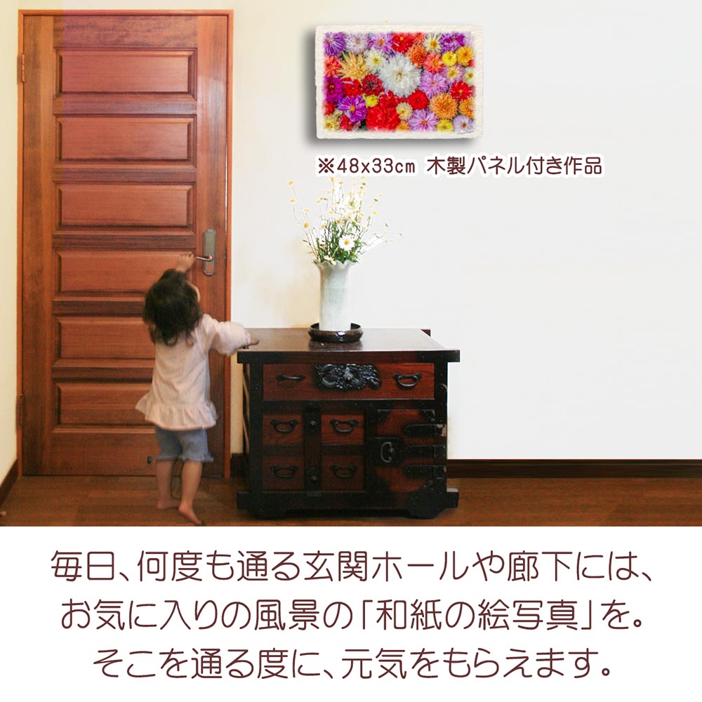 和紙の絵写真 「一面のダリアの花(白大)」 絵画 インテリア アート パネル おしゃれ 風景画 風水 絵 玄関 ジャパンディ 壁 掛け ポスター 和風 和 モダン 秋 花の絵
