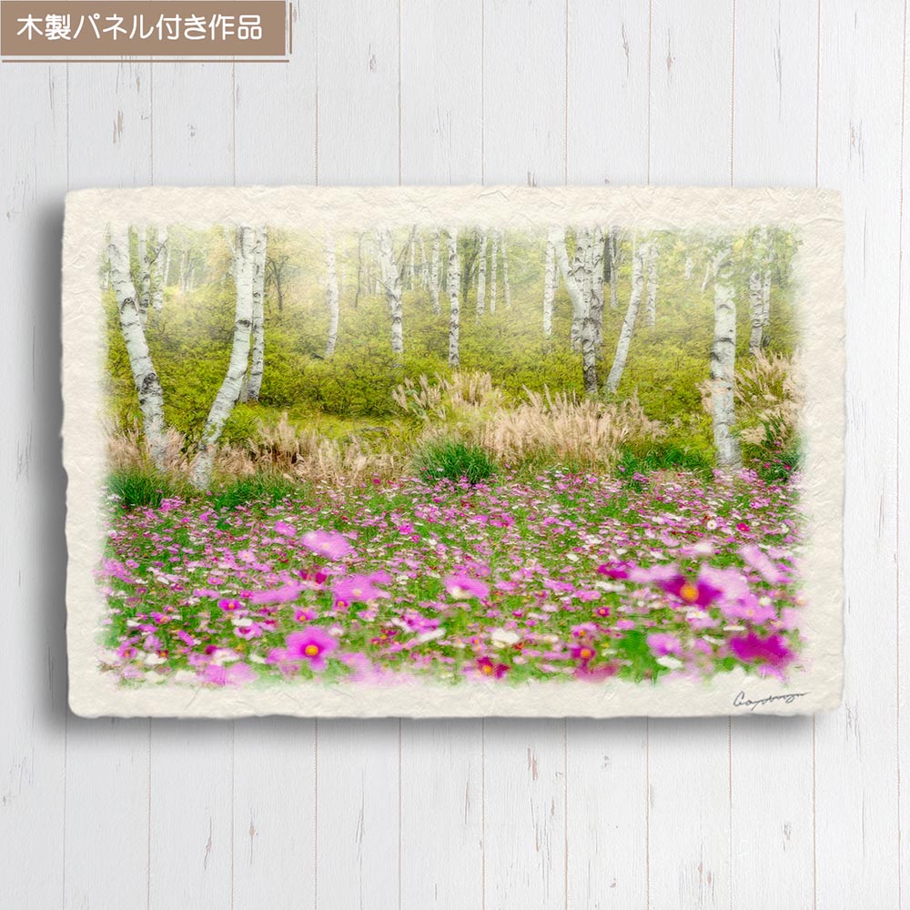 和紙の絵写真 「霧の白樺林とコスモス畑」 絵画 インテリア アート パネル おしゃれ 風景画 風水 絵 玄関 ジャパンディ 壁 掛け ポスター 和風 和 モダン 秋 ピンク 木 森 花の絵