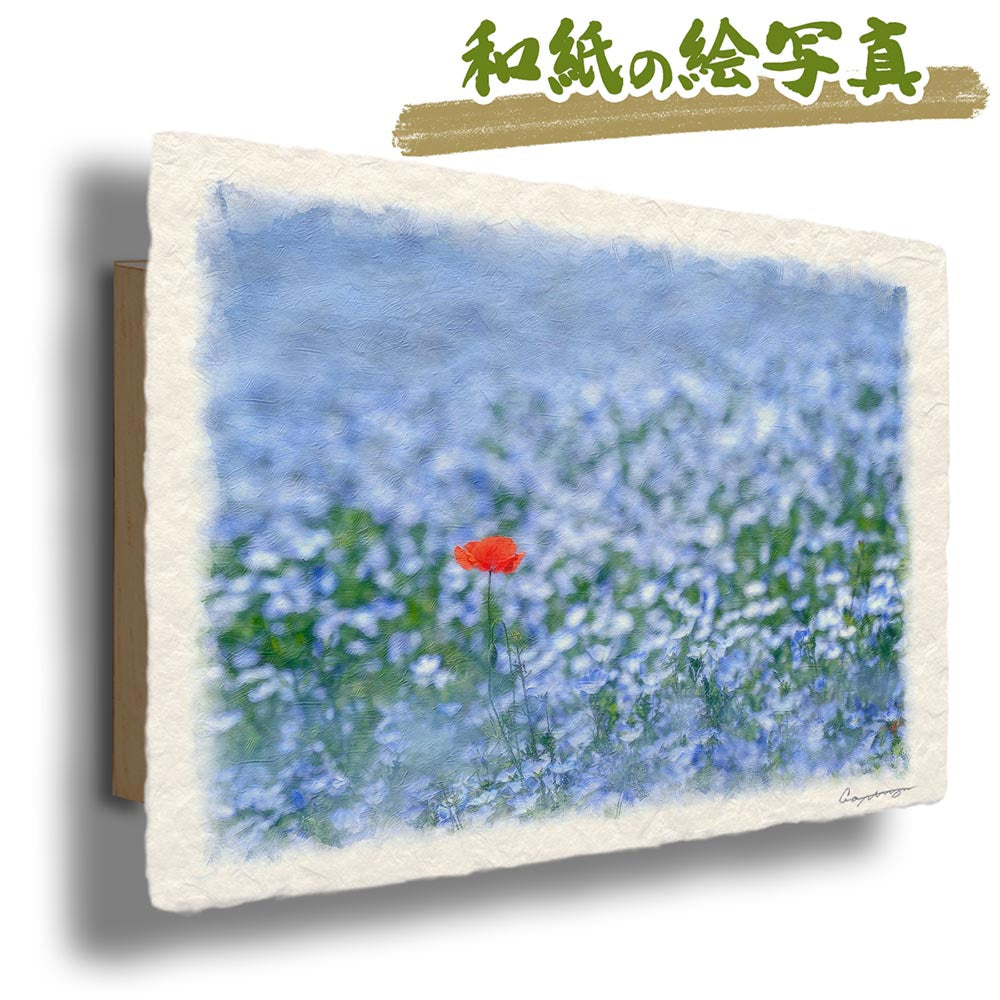 和紙の絵写真 「一面のネモフィラと赤いポピー」 絵画 インテリア アート パネル おしゃれ 風景画 風水 絵 玄関 ジャパンディ 壁 掛け ポスター 和風 和 モダン 春 青 花の絵