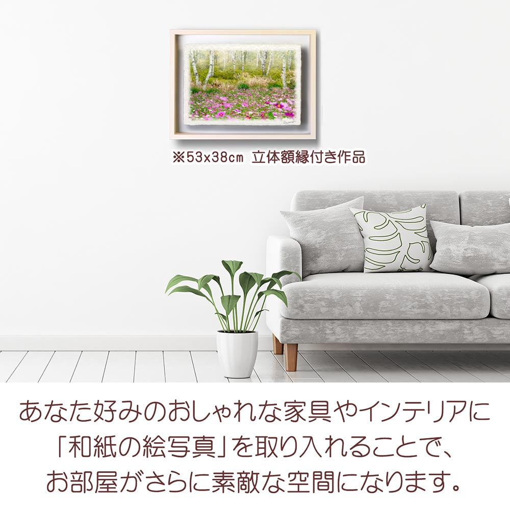 和紙の絵写真 「霧の白樺林とコスモス畑」 絵画 インテリア アート パネル おしゃれ 風景画 風水 絵 玄関 ジャパンディ 壁 掛け ポスター 和風 和 モダン 秋 ピンク 木 森 花の絵