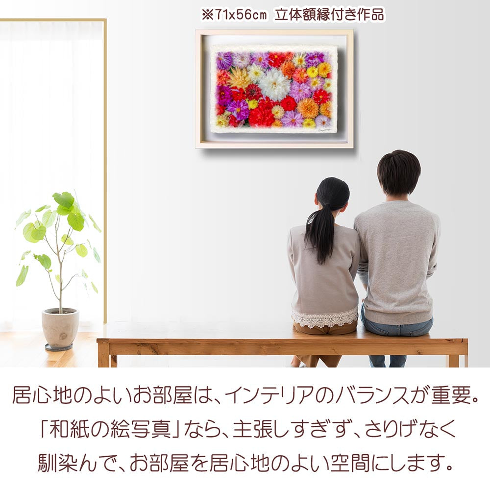 和紙の絵写真 「一面のダリアの花(白大)」 絵画 インテリア アート パネル おしゃれ 風景画 風水 絵 玄関 ジャパンディ 壁 掛け ポスター 和風 和 モダン 秋 花の絵