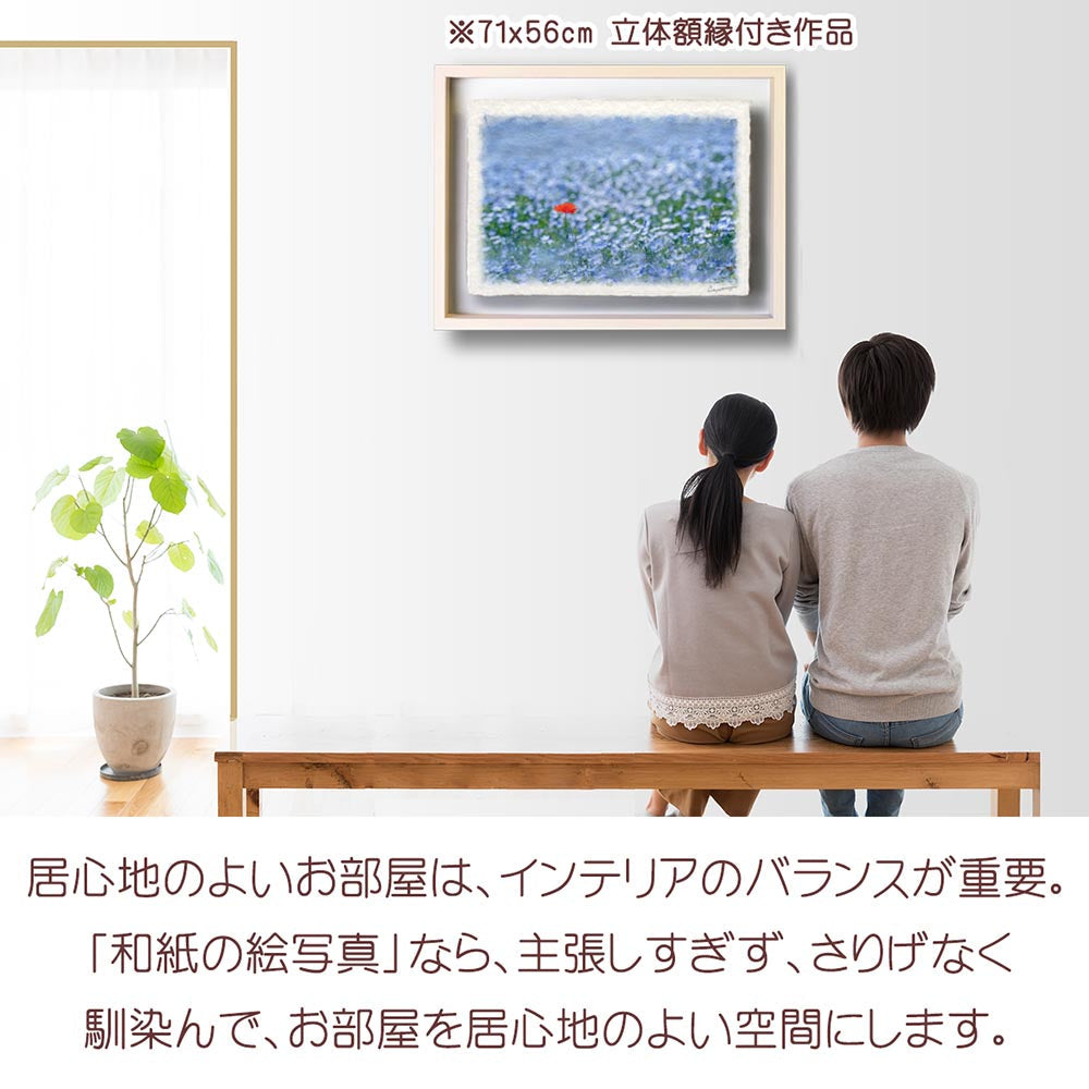 和紙の絵写真 「一面のネモフィラと赤いポピー」 絵画 インテリア アート パネル おしゃれ 風景画 風水 絵 玄関 ジャパンディ 壁 掛け ポスター 和風 和 モダン 春 青 花の絵