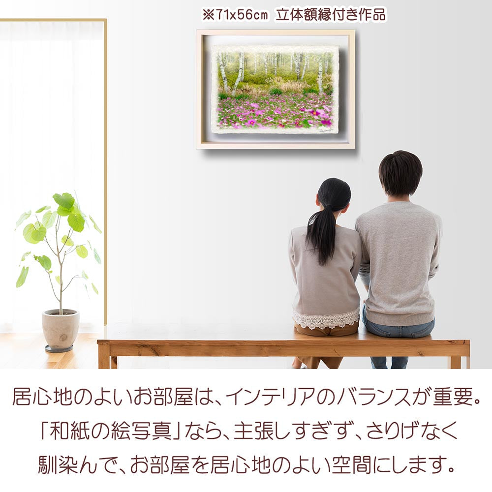 和紙の絵写真 「霧の白樺林とコスモス畑」 絵画 インテリア アート パネル おしゃれ 風景画 風水 絵 玄関 ジャパンディ 壁 掛け ポスター 和風 和 モダン 秋 ピンク 木 森 花の絵