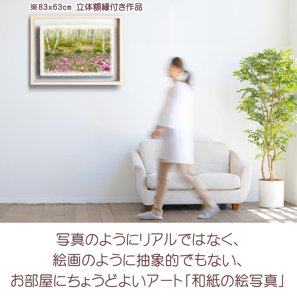 和紙の絵写真 「霧の白樺林とコスモス畑」 絵画 インテリア アート パネル おしゃれ 風景画 風水 絵 玄関 ジャパンディ 壁 掛け ポスター 和風 和 モダン 秋 ピンク 木 森 花の絵