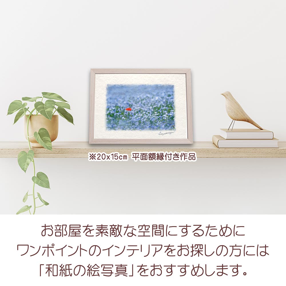 和紙の絵写真 「一面のネモフィラと赤いポピー」 絵画 インテリア アート パネル おしゃれ 風景画 風水 絵 玄関 ジャパンディ 壁 掛け ポスター 和風 和 モダン 春 青 花の絵