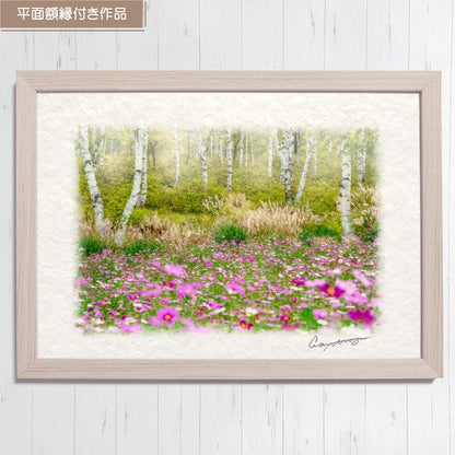和紙の絵写真 「霧の白樺林とコスモス畑」 絵画 インテリア アート パネル おしゃれ 風景画 風水 絵 玄関 ジャパンディ 壁 掛け ポスター 和風 和 モダン 秋 ピンク 木 森 花の絵