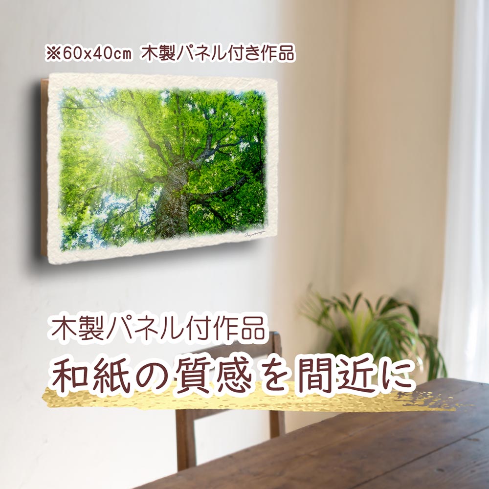 木漏れ日と新緑のブナの大木｜和紙の絵写真・玄関に飾ると運気が上がる風水絵画