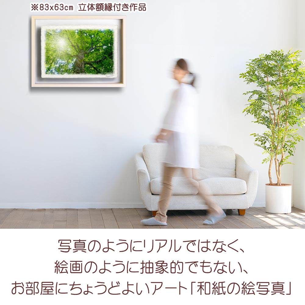 和紙の絵写真 「木漏れ日と新緑のブナの大木」 絵画 インテリア アート パネル おしゃれ 風景画 風水 絵 玄関 ジャパンディ 壁 掛け ポスター 和風 和 モダン 夏 緑 木 森