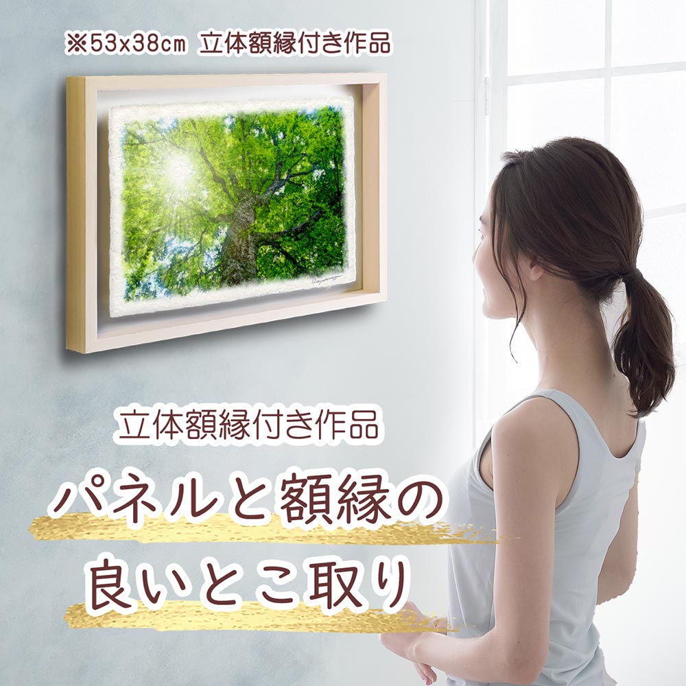 木漏れ日と新緑のブナの大木｜和紙の絵写真・玄関に飾ると運気が上がる風水絵画